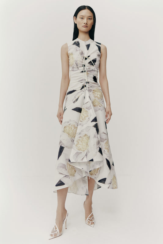 DRAPPED PEONIA MIMOSA