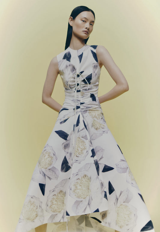 DRAPPED PEONIA MIMOSA