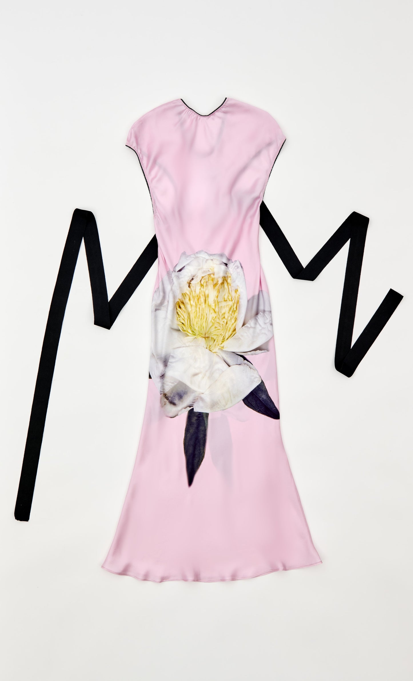 BOW BACK PEONIA
