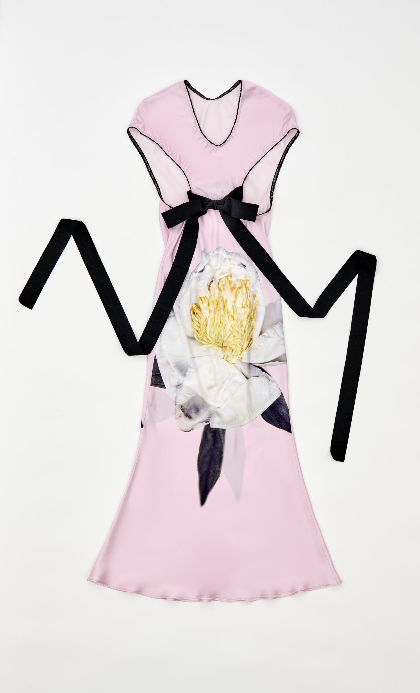BOW BACK PEONIA