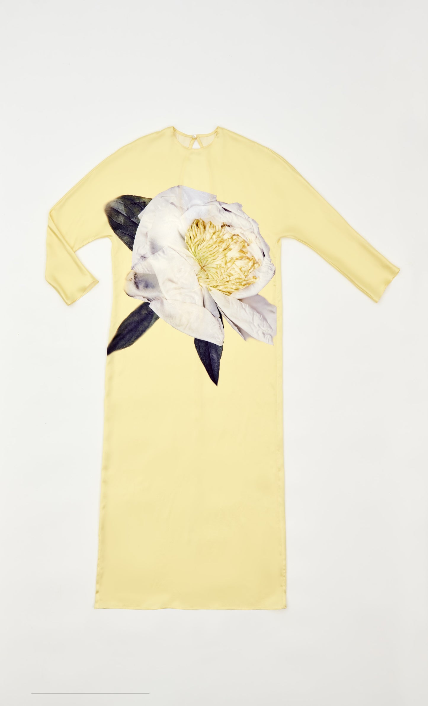 TOTE PEONIA