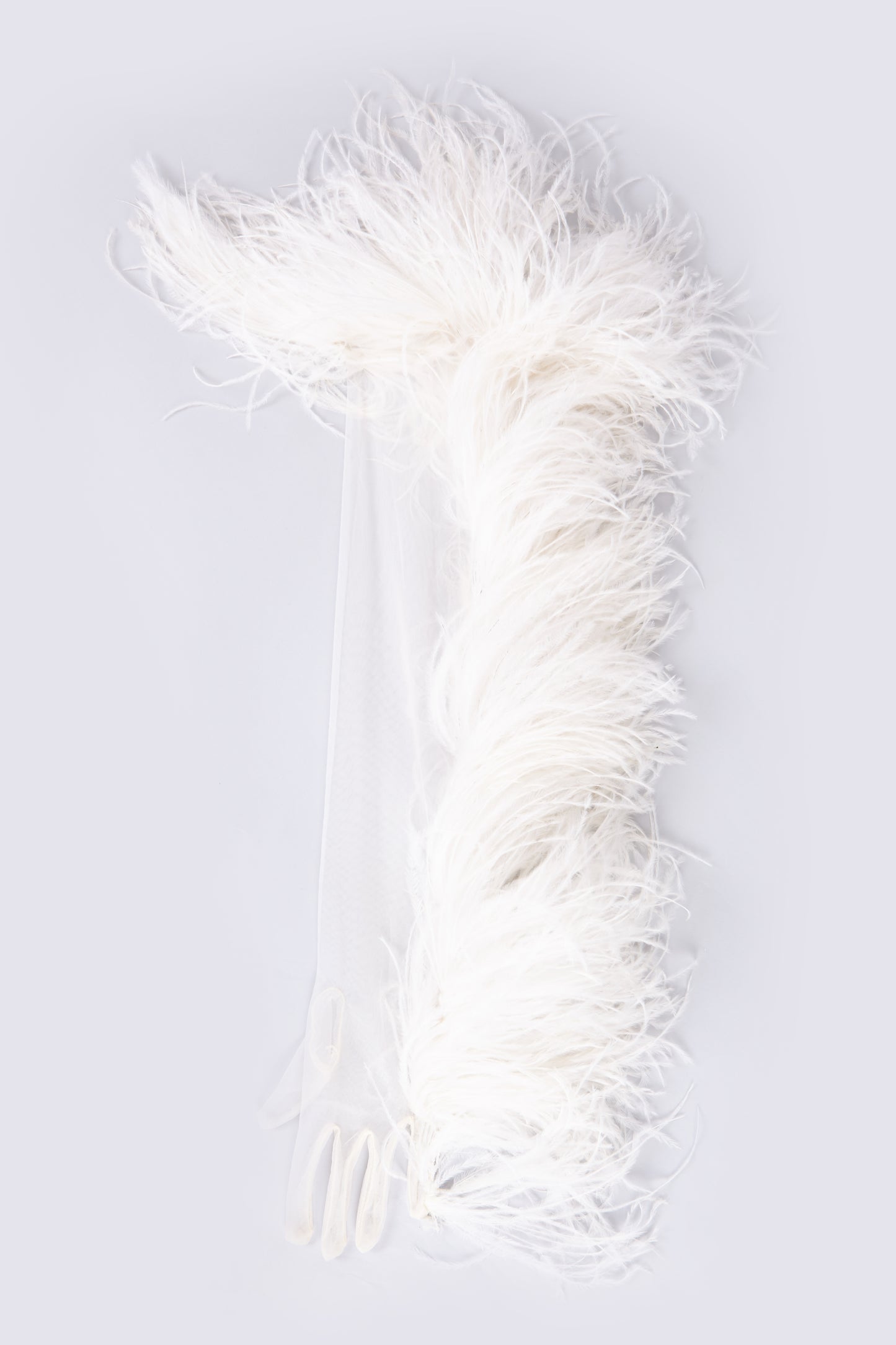 SWAN GLOVES