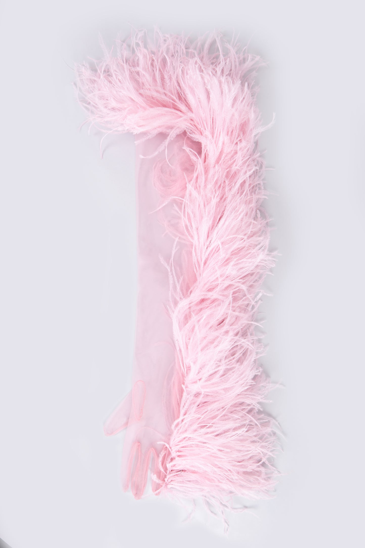 SWAN GLOVES